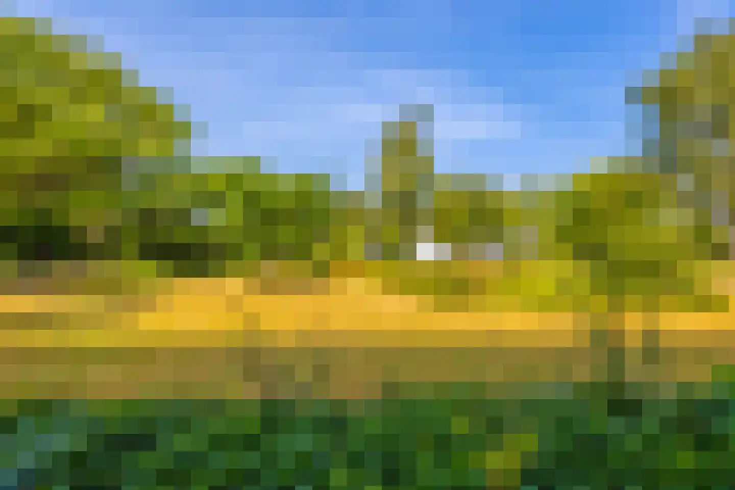 Lijsterlaan 169 Bussum thumbnail 37
