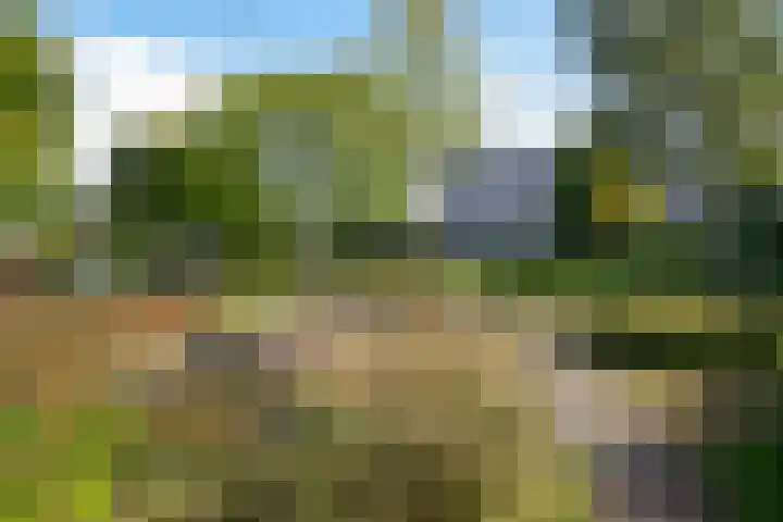 Lijsterlaan 177 Bussum thumbnail 21