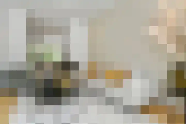 Lijsterlaan 18 Eindhoven thumbnail 11