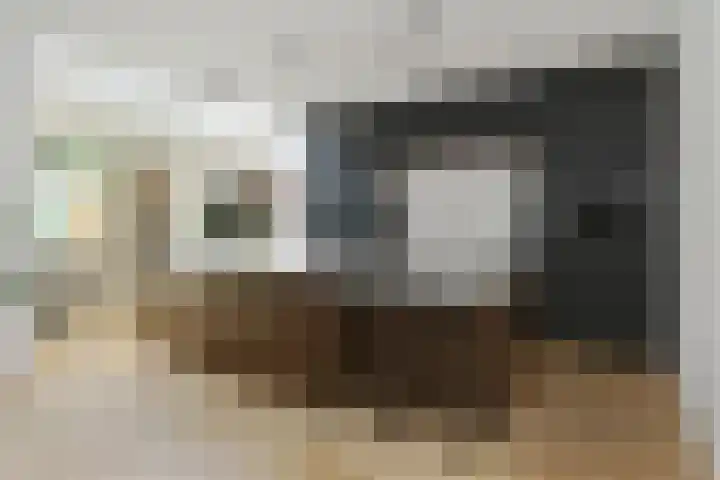 Lijsterlaan 18 Eindhoven thumbnail 12
