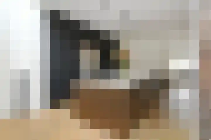 Lijsterlaan 18 Eindhoven thumbnail 14