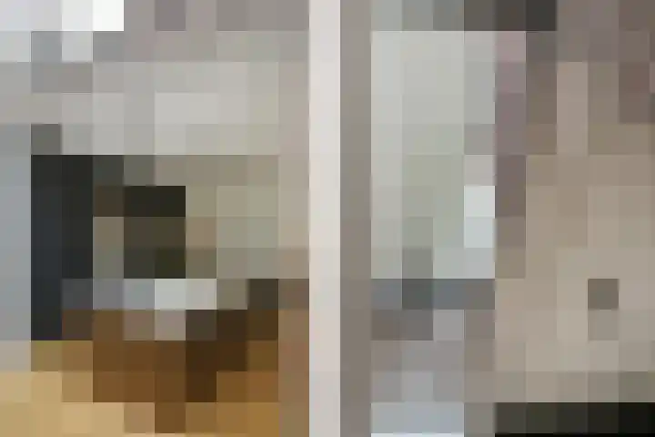 Lijsterlaan 18 Eindhoven thumbnail 15