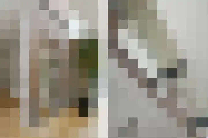Lijsterlaan 18 Eindhoven thumbnail 16