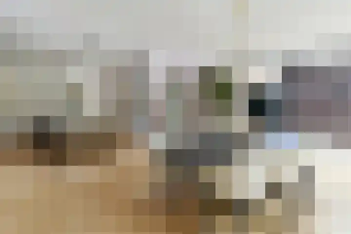 Lijsterlaan 18 Eindhoven thumbnail 17