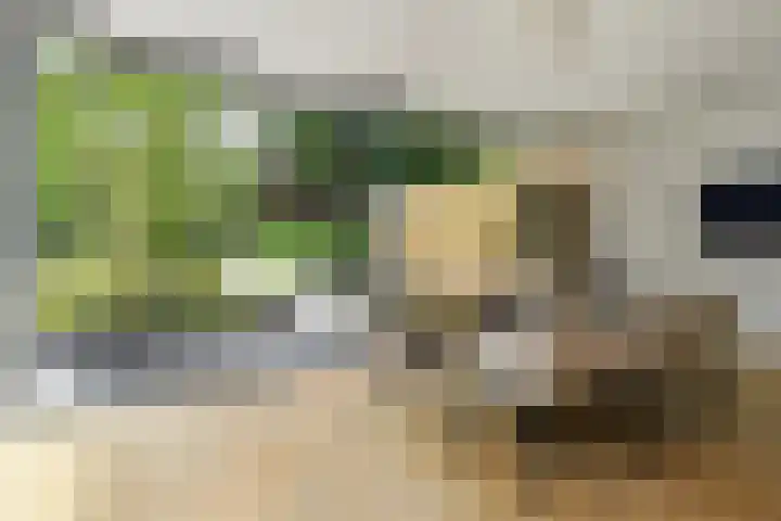 Lijsterlaan 18 Eindhoven thumbnail 18