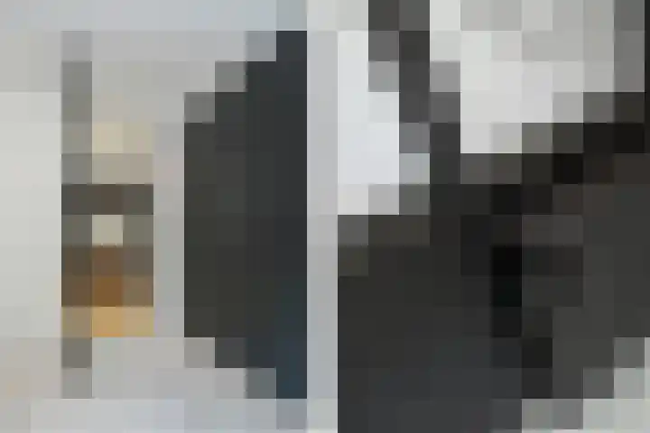 Lijsterlaan 18 Eindhoven thumbnail 21