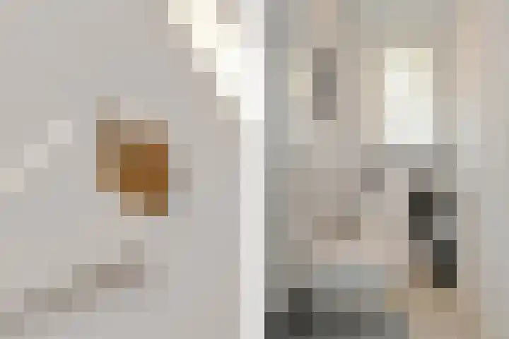 Lijsterlaan 18 Eindhoven thumbnail 23