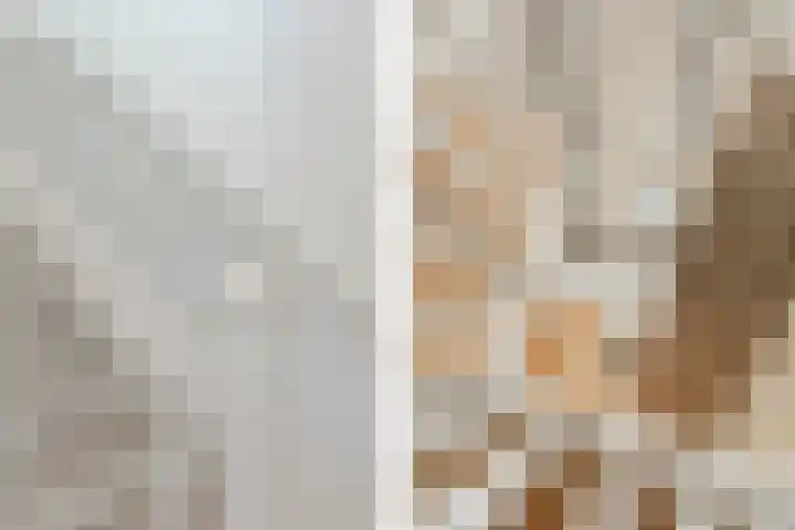 Lijsterlaan 18 Eindhoven thumbnail 24