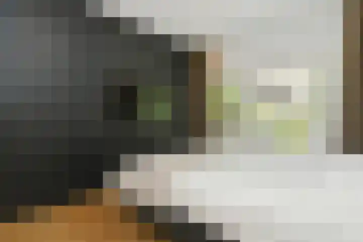 Lijsterlaan 18 Eindhoven thumbnail 26
