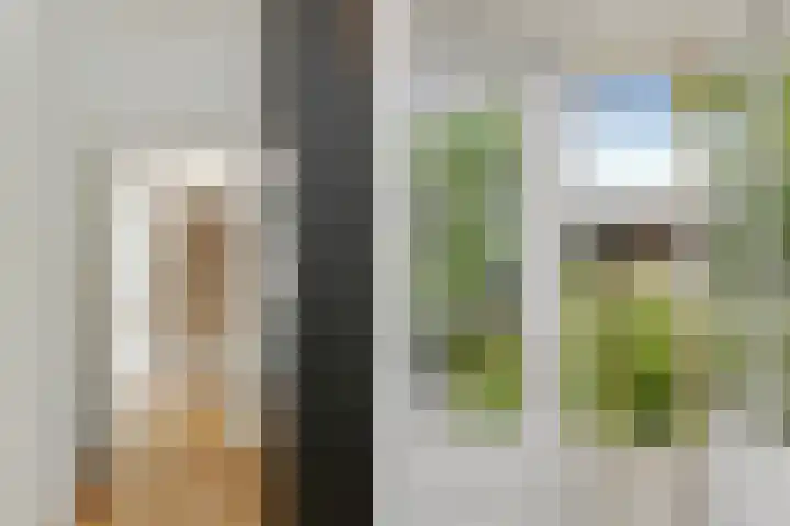 Lijsterlaan 18 Eindhoven thumbnail 27