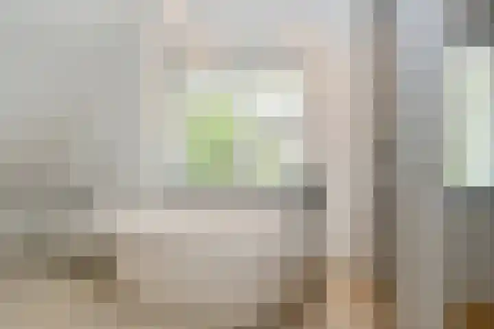 Lijsterlaan 18 Eindhoven thumbnail 30