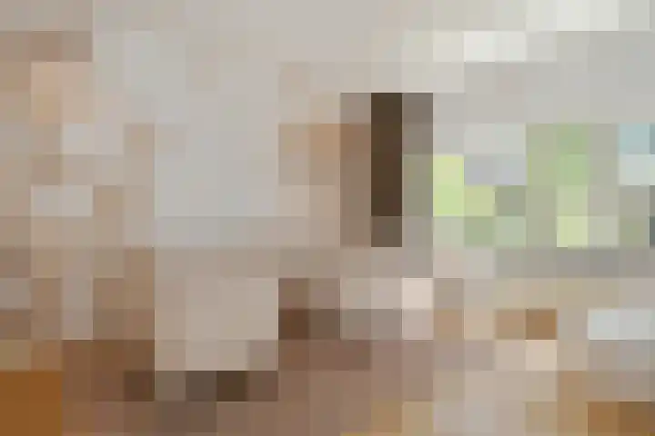 Lijsterlaan 18 Eindhoven thumbnail 32