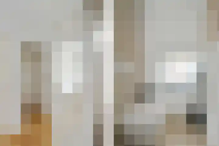 Lijsterlaan 18 Eindhoven thumbnail 34