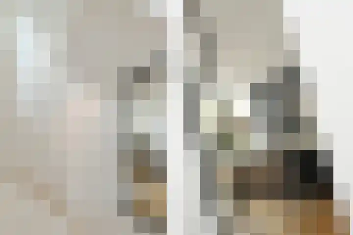 Lijsterlaan 18 Eindhoven thumbnail 4