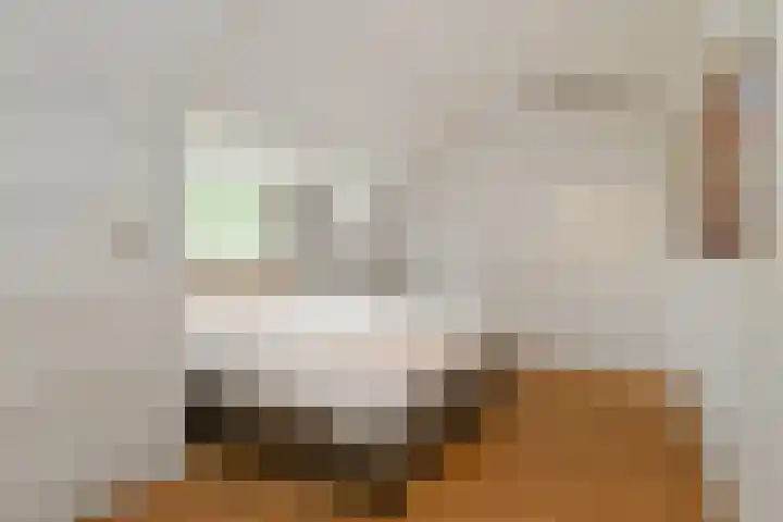 Lijsterlaan 18 Eindhoven thumbnail 40