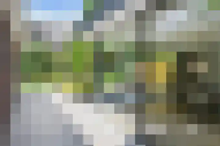 Lijsterlaan 18 Eindhoven thumbnail 43