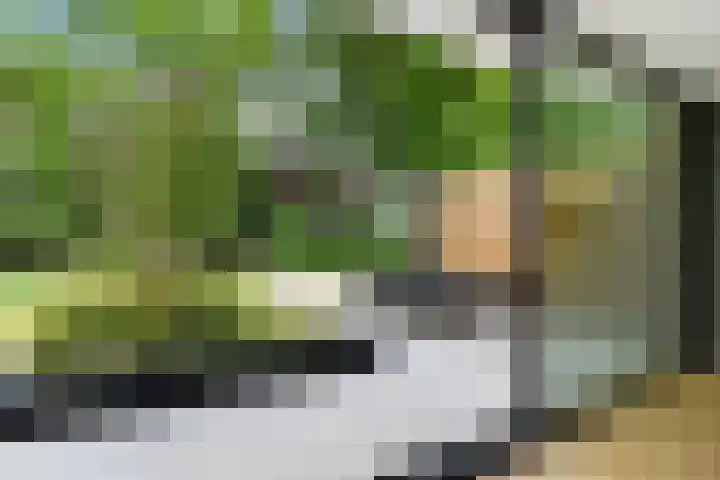 Lijsterlaan 18 Eindhoven thumbnail 44