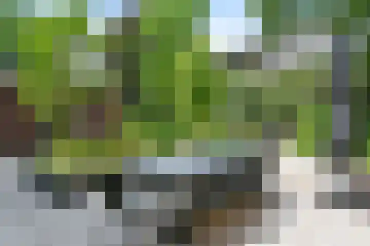 Lijsterlaan 18 Eindhoven thumbnail 48
