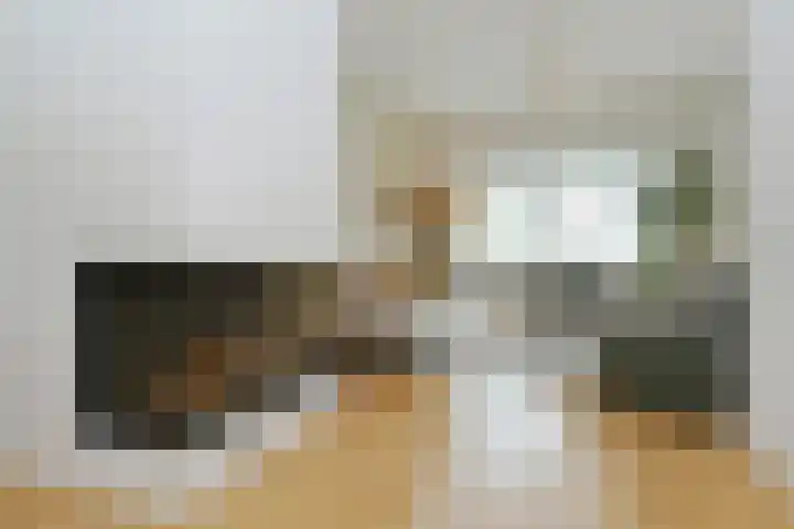 Lijsterlaan 18 Eindhoven thumbnail 5