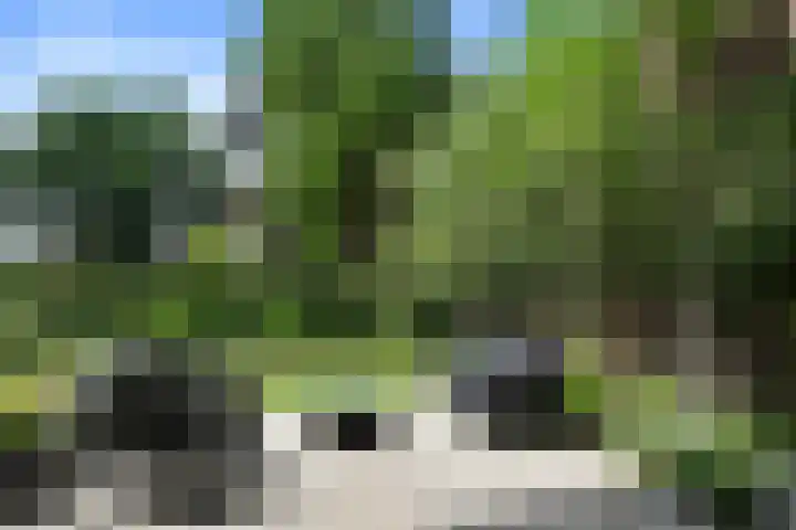 Lijsterlaan 18 Eindhoven thumbnail 50