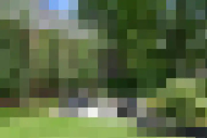Lijsterlaan 18 Eindhoven thumbnail 51