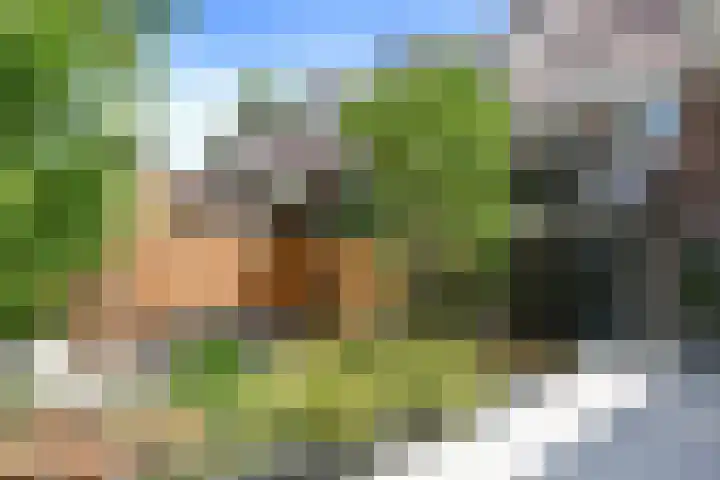 Lijsterlaan 18 Eindhoven thumbnail 52
