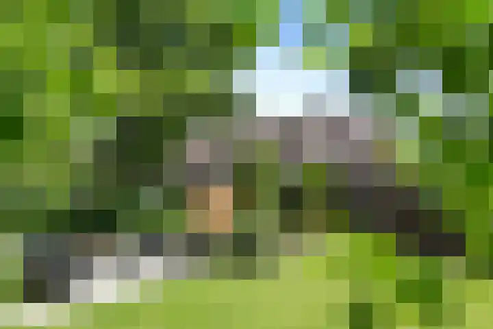 Lijsterlaan 18 Eindhoven thumbnail 53