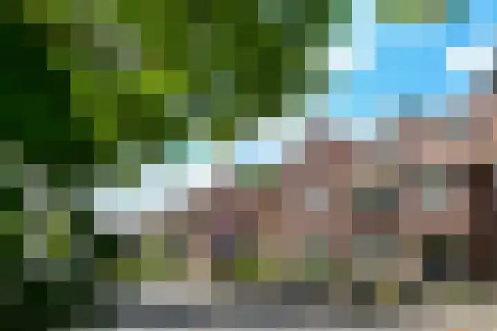 Lijsterlaan 18 Eindhoven thumbnail 54