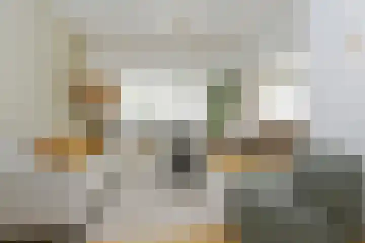 Lijsterlaan 18 Eindhoven thumbnail 6