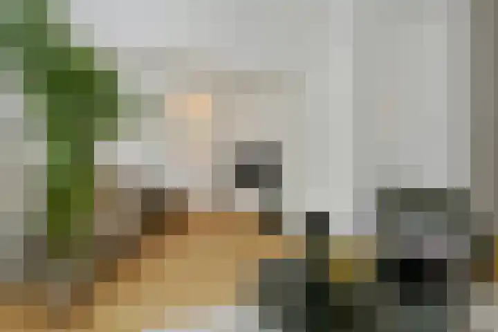 Lijsterlaan 18 Eindhoven thumbnail 7