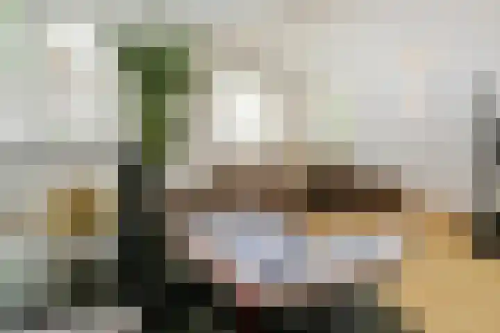 Lijsterlaan 18 Eindhoven thumbnail 8