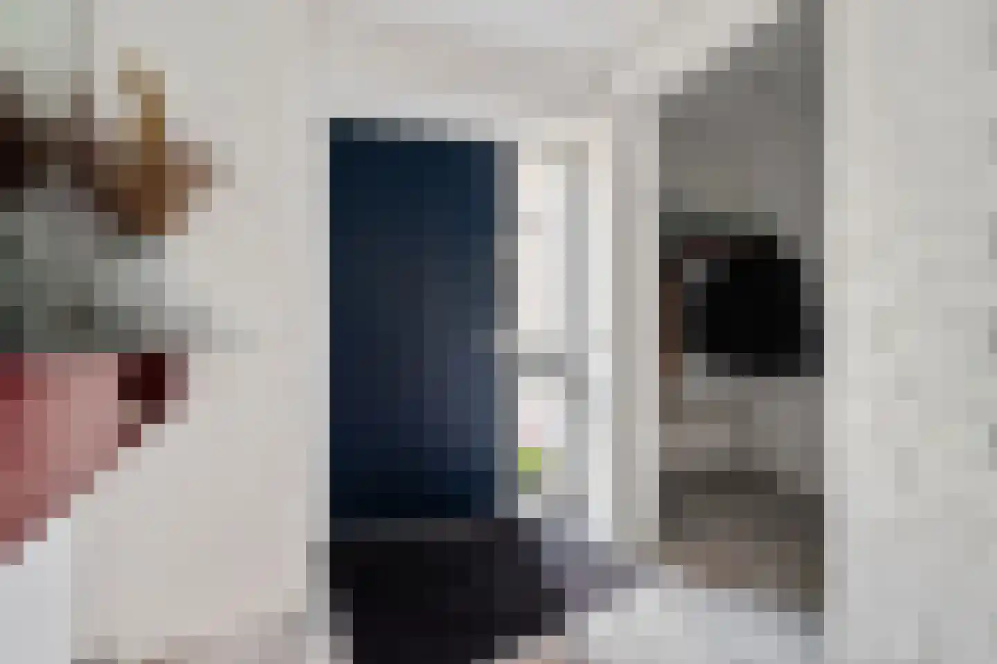 Lijsterlaan 2 b Bleiswijk thumbnail 10