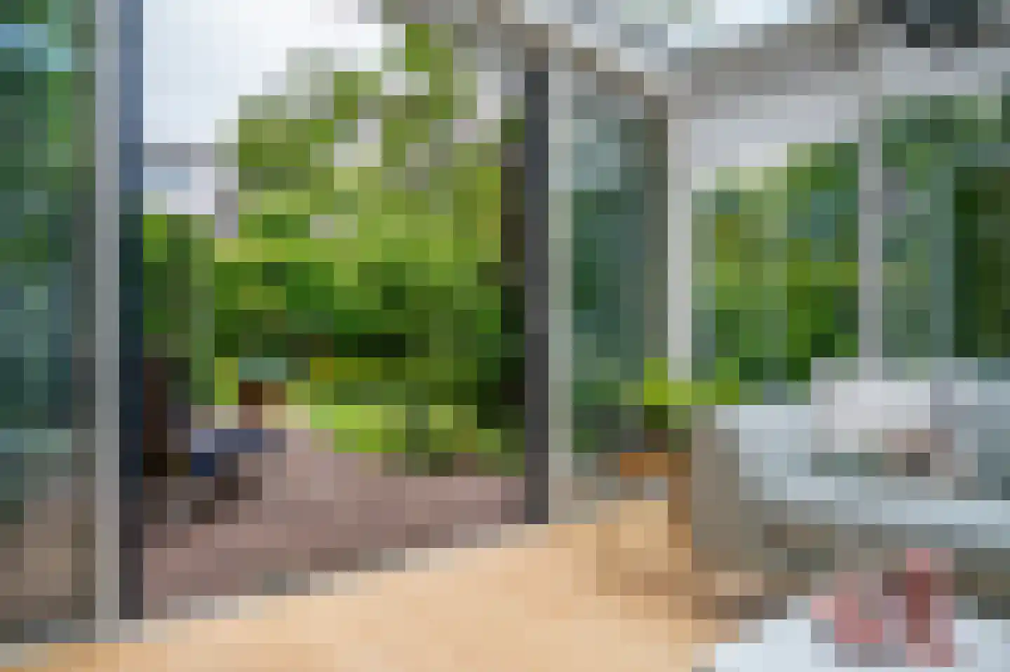 Lijsterlaan 2 b Bleiswijk thumbnail 13