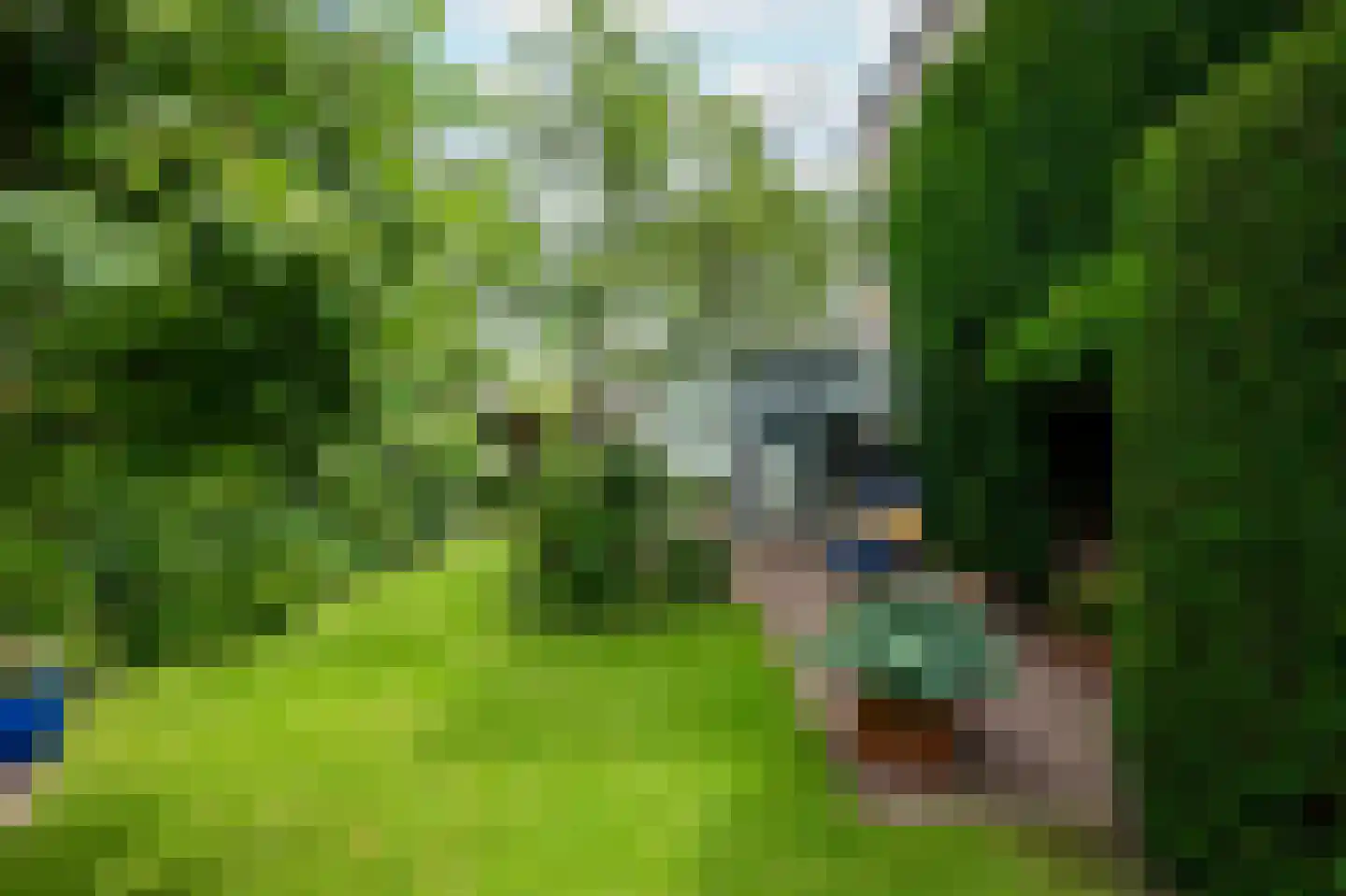 Lijsterlaan 2 b Bleiswijk thumbnail 15