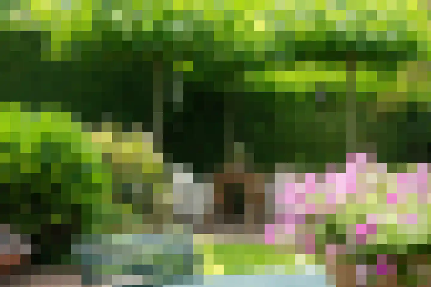 Lijsterlaan 2 b Bleiswijk thumbnail 16