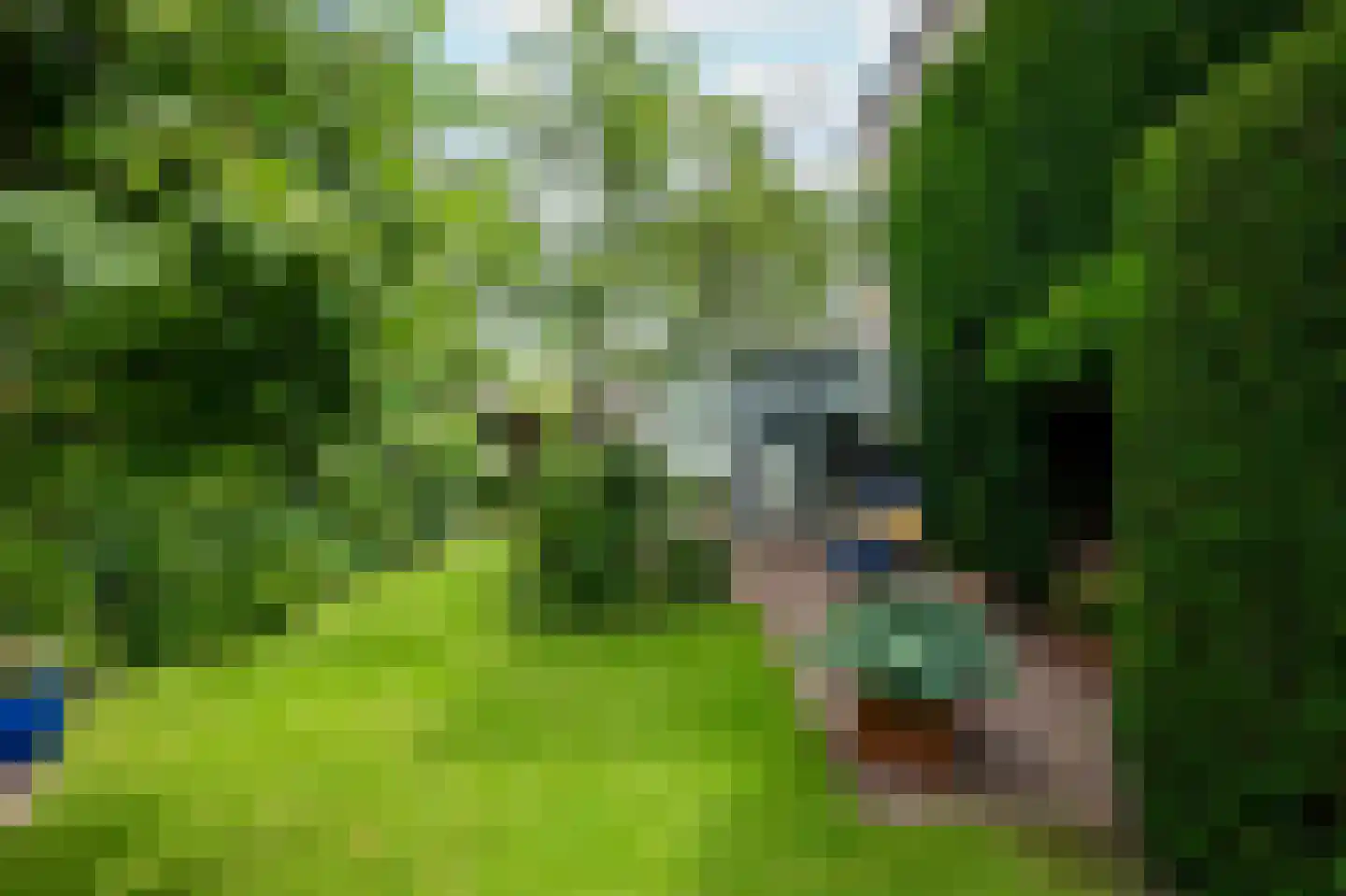 Lijsterlaan 2 b Bleiswijk thumbnail 18
