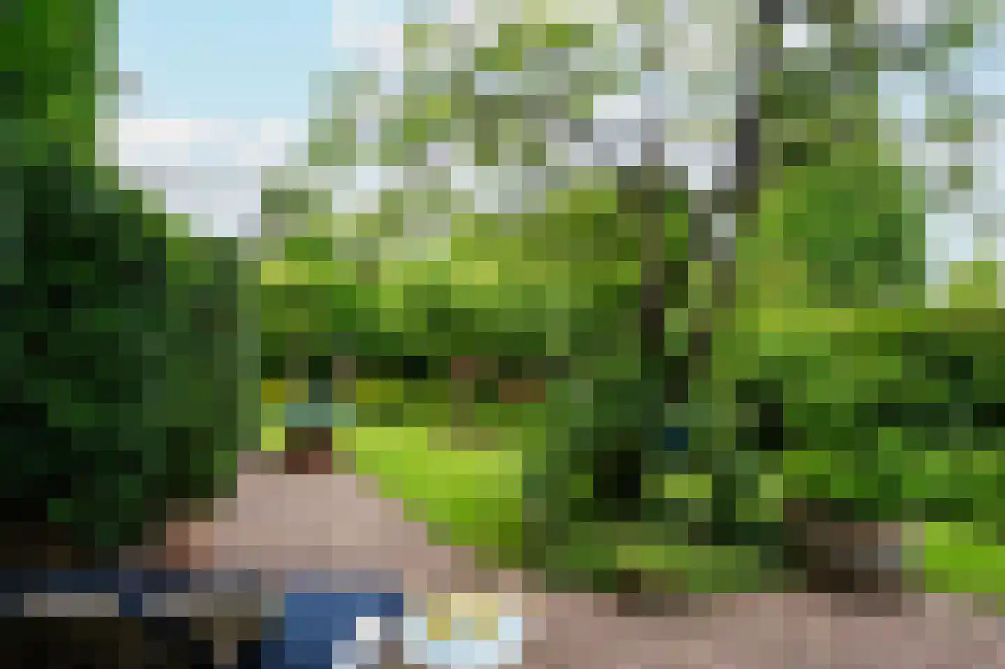 Lijsterlaan 2 b Bleiswijk thumbnail 18