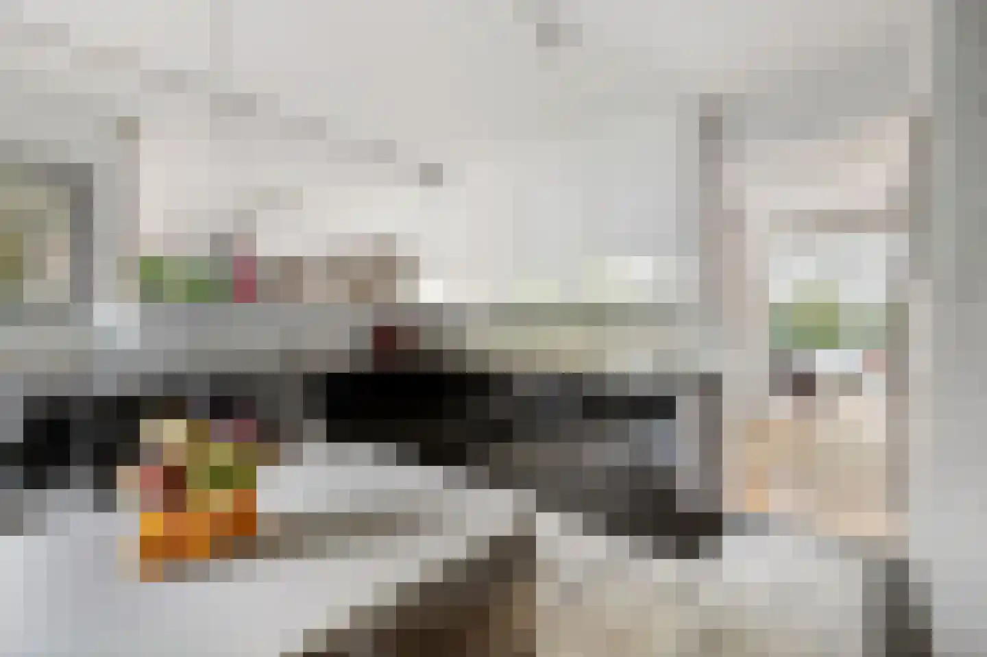 Lijsterlaan 2 b Bleiswijk thumbnail 20
