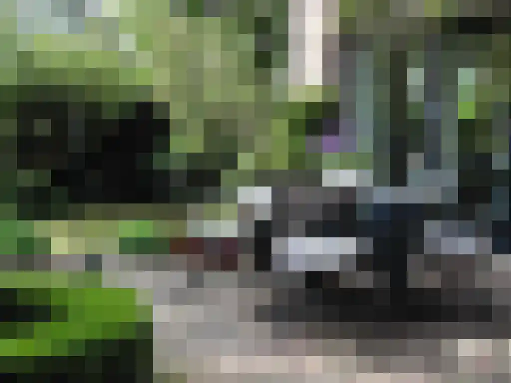 Lijsterlaan 2 b Bleiswijk thumbnail 22