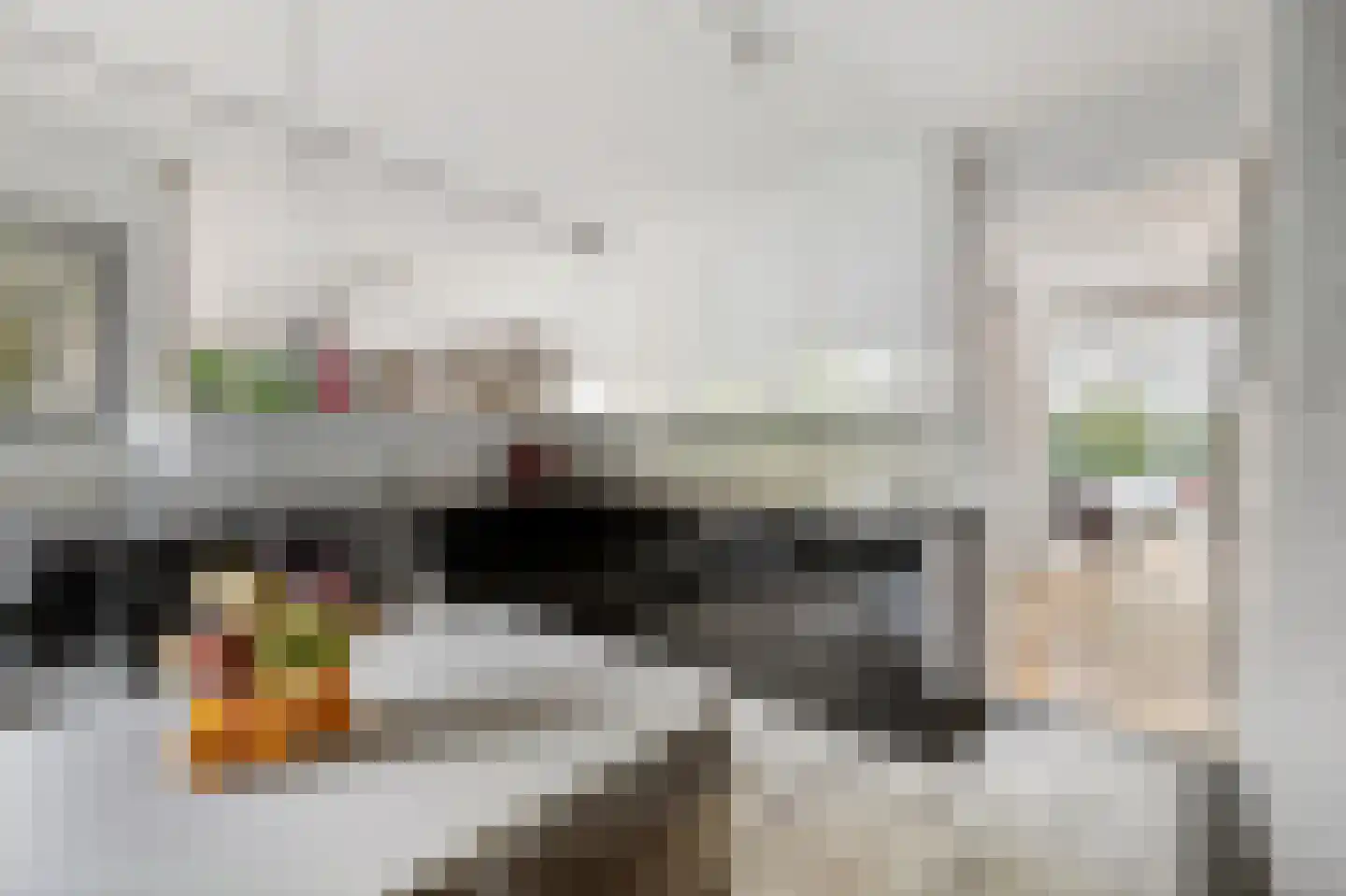 Lijsterlaan 2 b Bleiswijk thumbnail 23