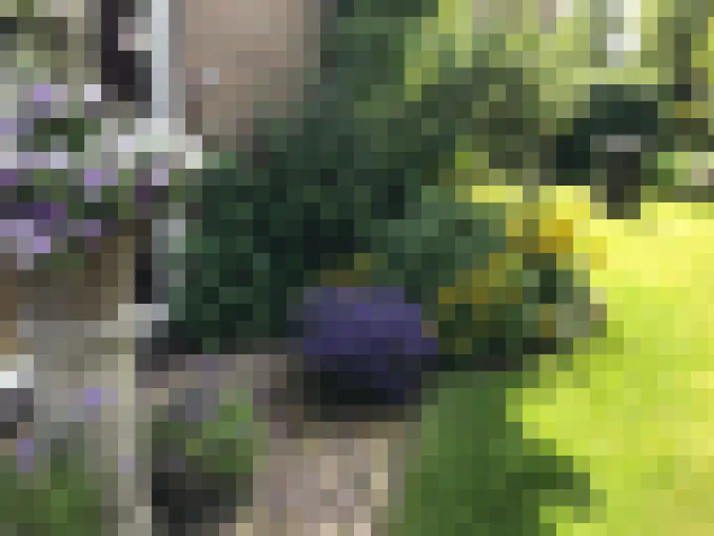 Lijsterlaan 2 b Bleiswijk thumbnail 24