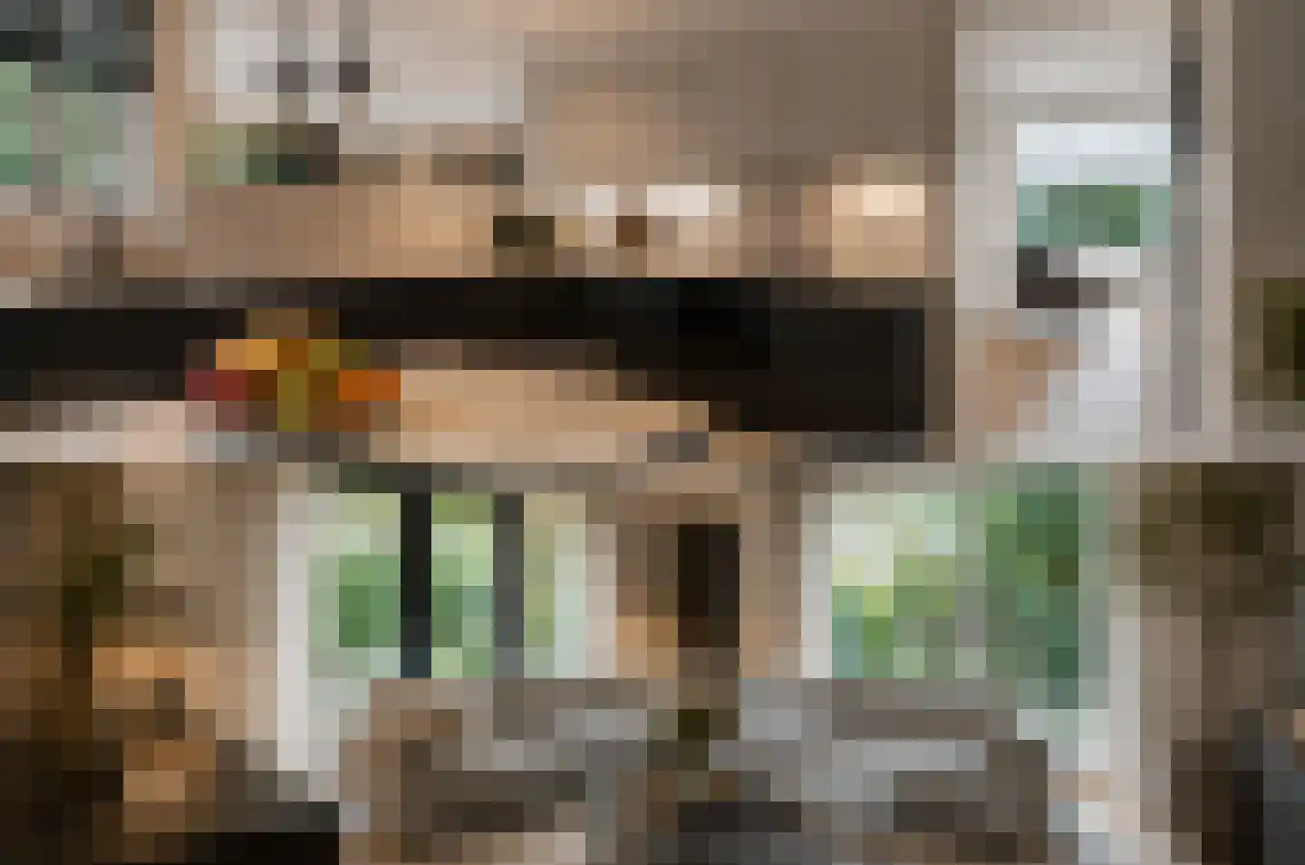 Lijsterlaan 2 b Bleiswijk thumbnail 24