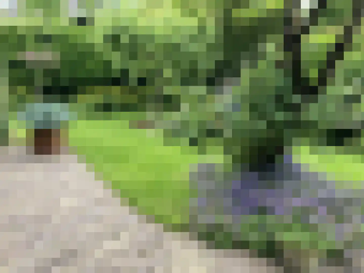 Lijsterlaan 2 b Bleiswijk thumbnail 26