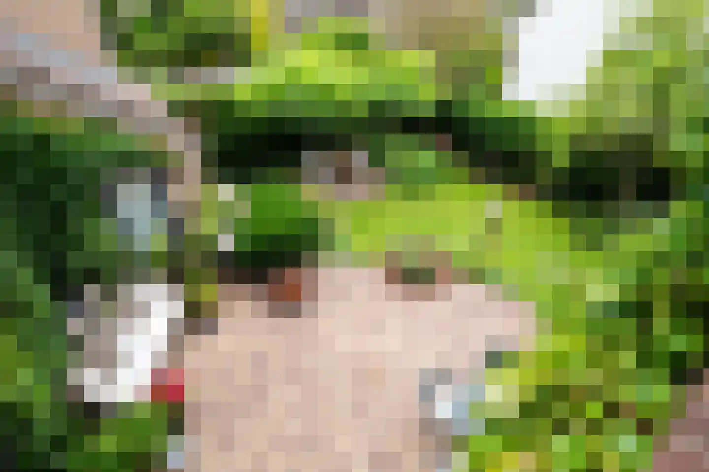 Lijsterlaan 2 b Bleiswijk thumbnail 27
