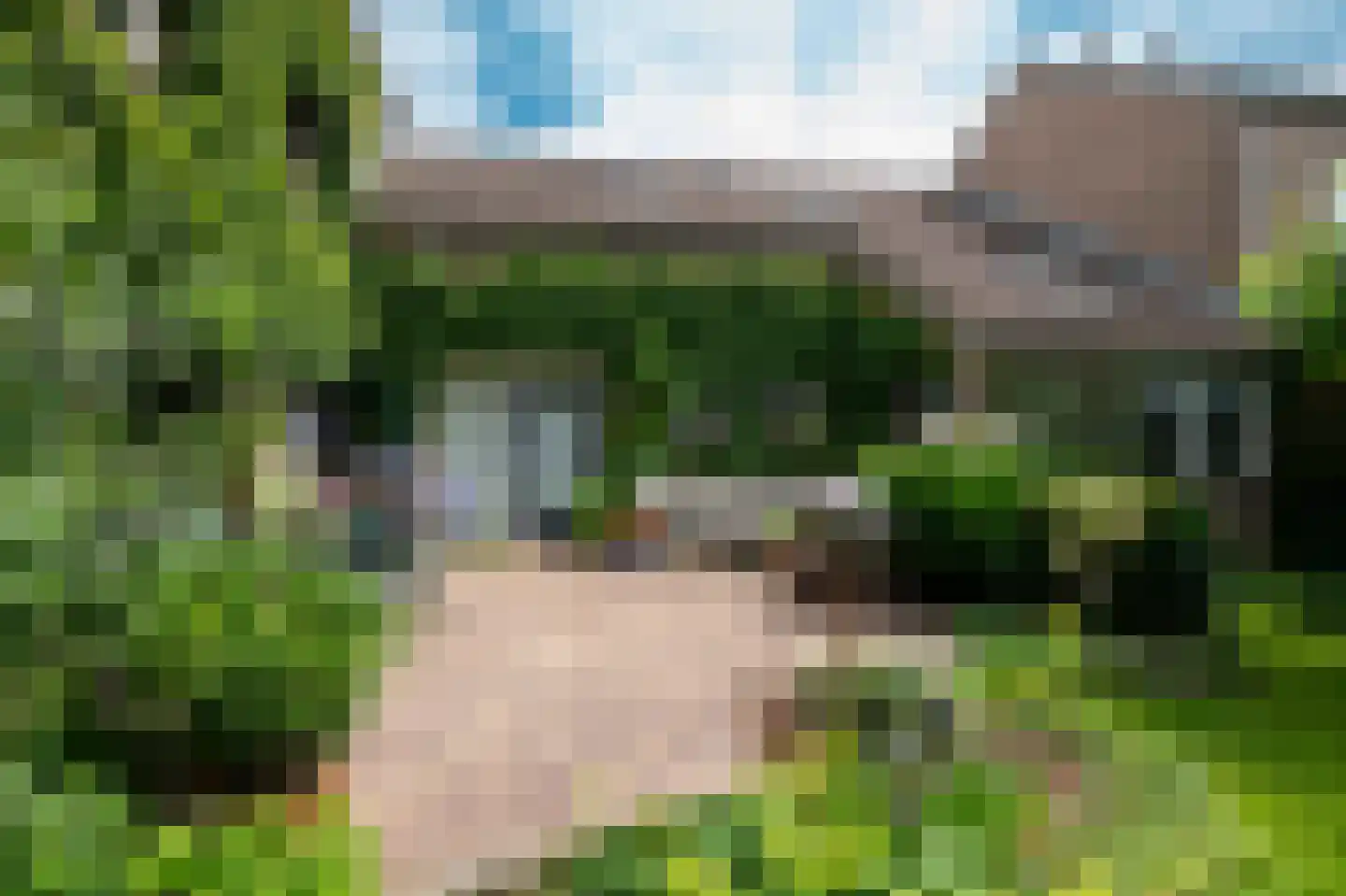 Lijsterlaan 2 b Bleiswijk thumbnail 28