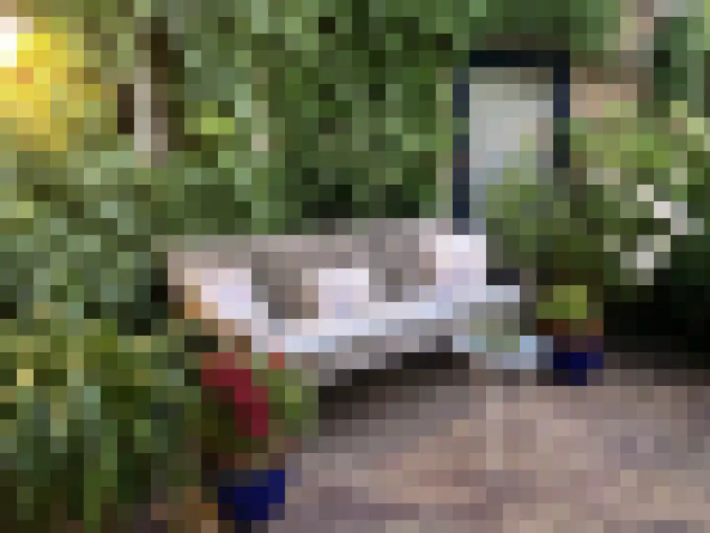 Lijsterlaan 2 b Bleiswijk thumbnail 29