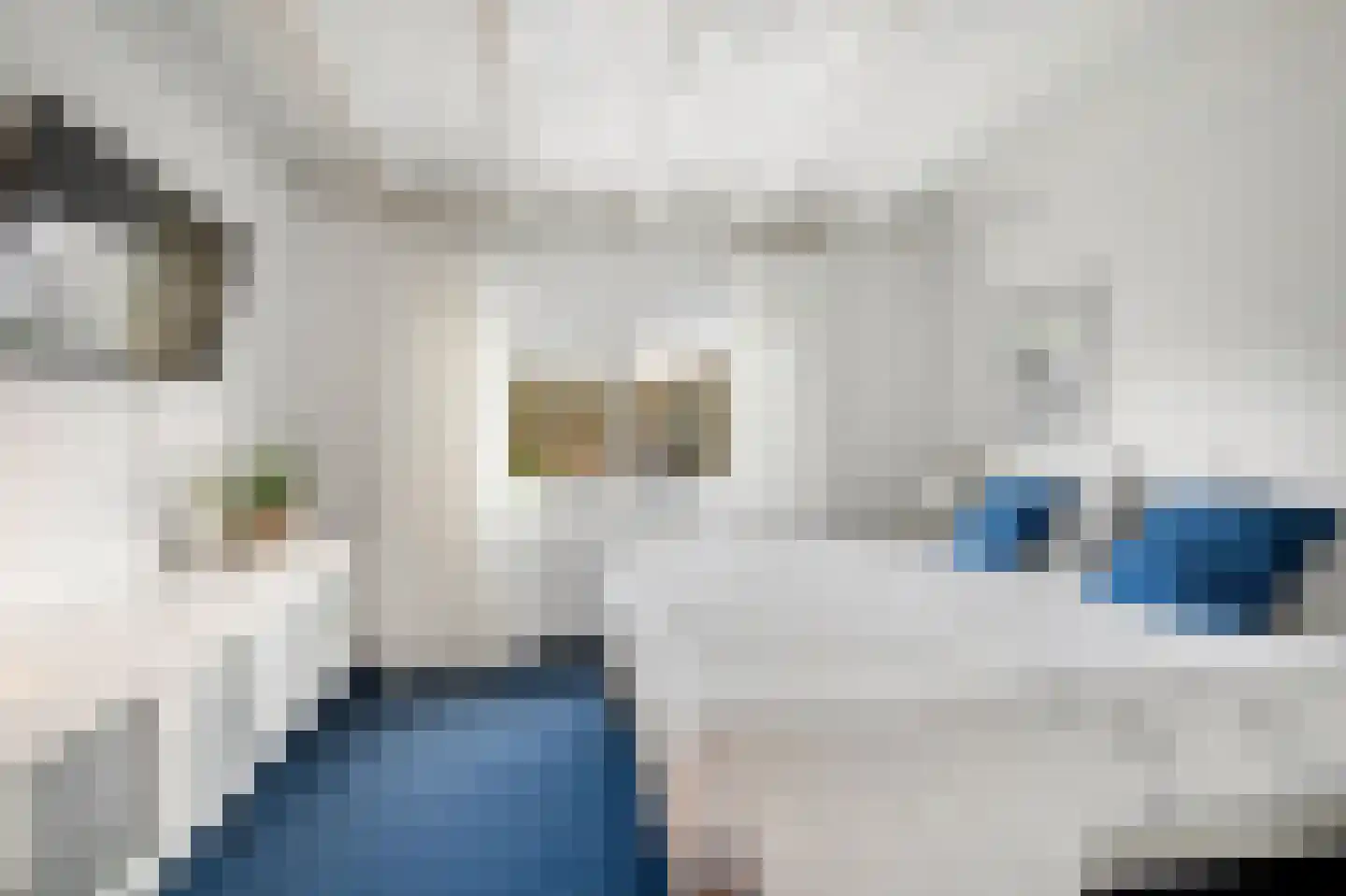 Lijsterlaan 2 b Bleiswijk thumbnail 32