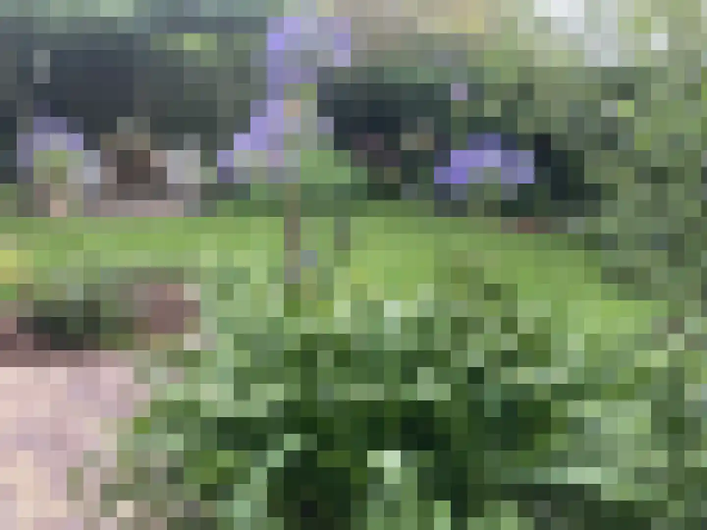 Lijsterlaan 2 b Bleiswijk thumbnail 32