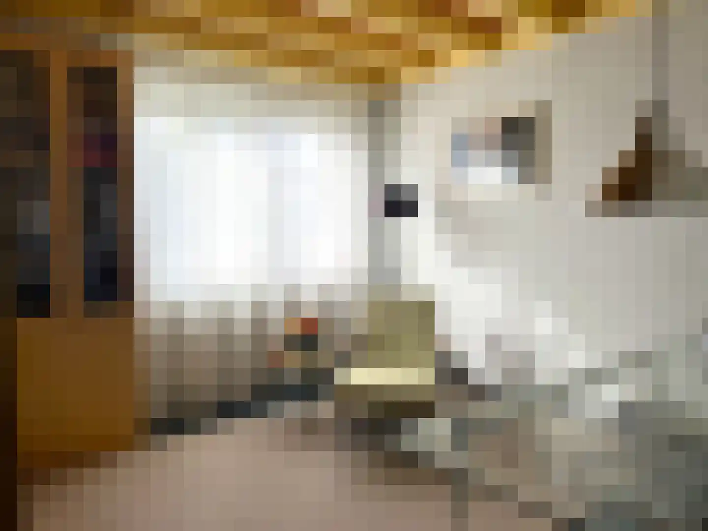 Lijsterlaan 2 b Bleiswijk thumbnail 37