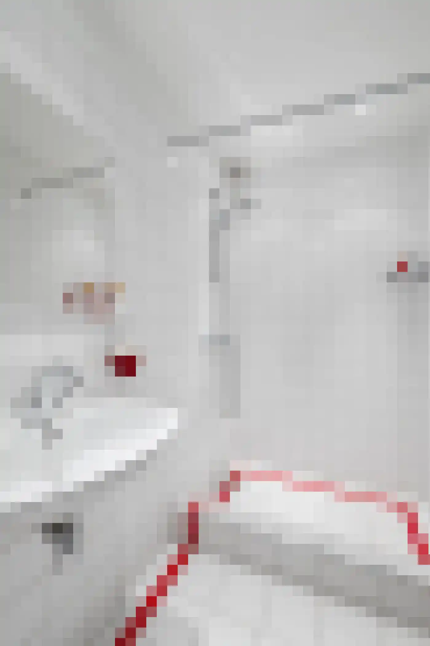 Lijsterlaan 2 b Bleiswijk thumbnail 39
